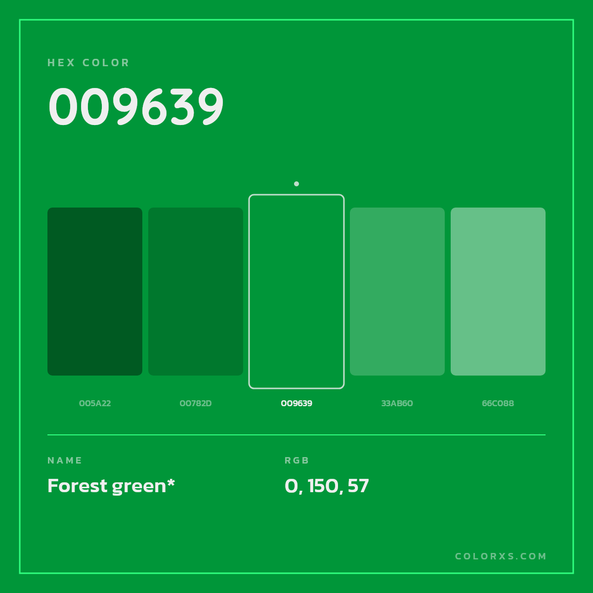 #009639 hex color. RGB, RYB, CMYK, HSL, HSV codes and color conversions. Matching color names, palettes, paints.