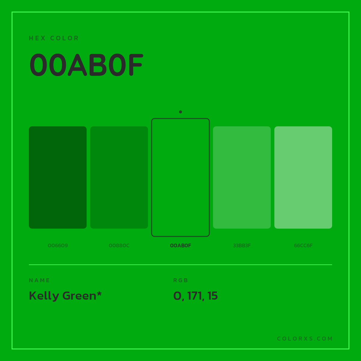 #00AB0F hex color. RGB, RYB, CMYK, HSL, HSV codes and color conversions. Matching color names, palettes, paints.