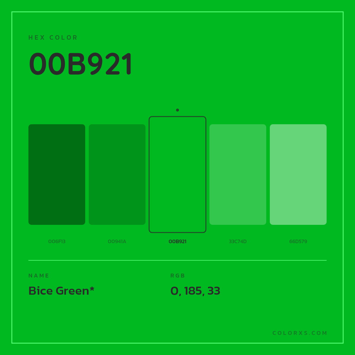 #00B921 hex color. RGB, RYB, CMYK, HSL, HSV codes and color conversions. Matching color names, palettes, paints.