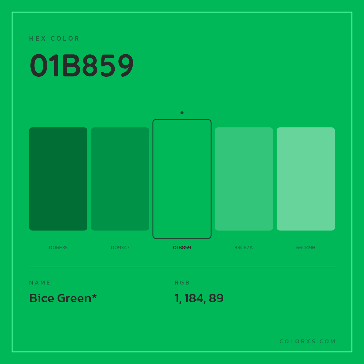 #01B859 hex color. RGB, RYB, CMYK, HSL, HSV codes and color conversions. Matching color names, palettes, paints.
