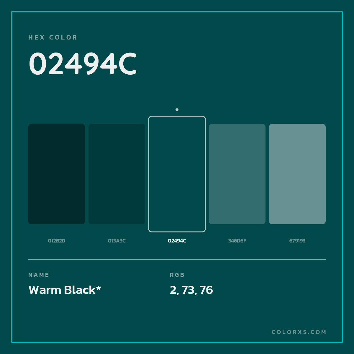 #02494C hex color. RGB, RYB, CMYK, HSL, HSV codes and color conversions. Matching color names, palettes, paints.