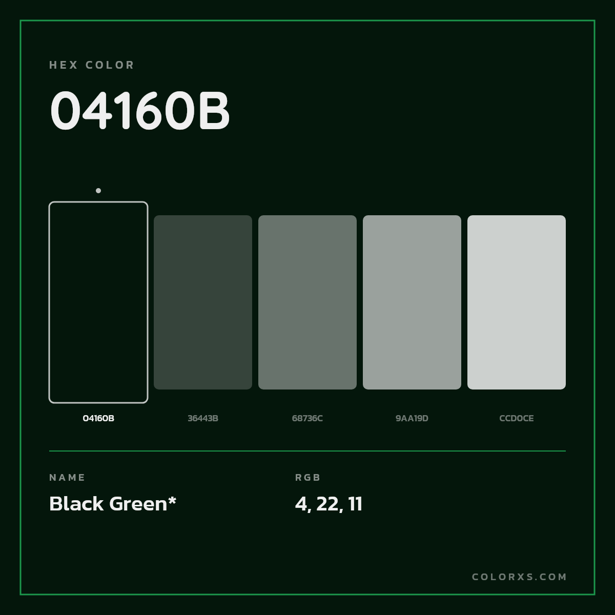 #04160B hex color. RGB, RYB, CMYK, HSL, HSV codes and color conversions. Matching color names, palettes, paints.