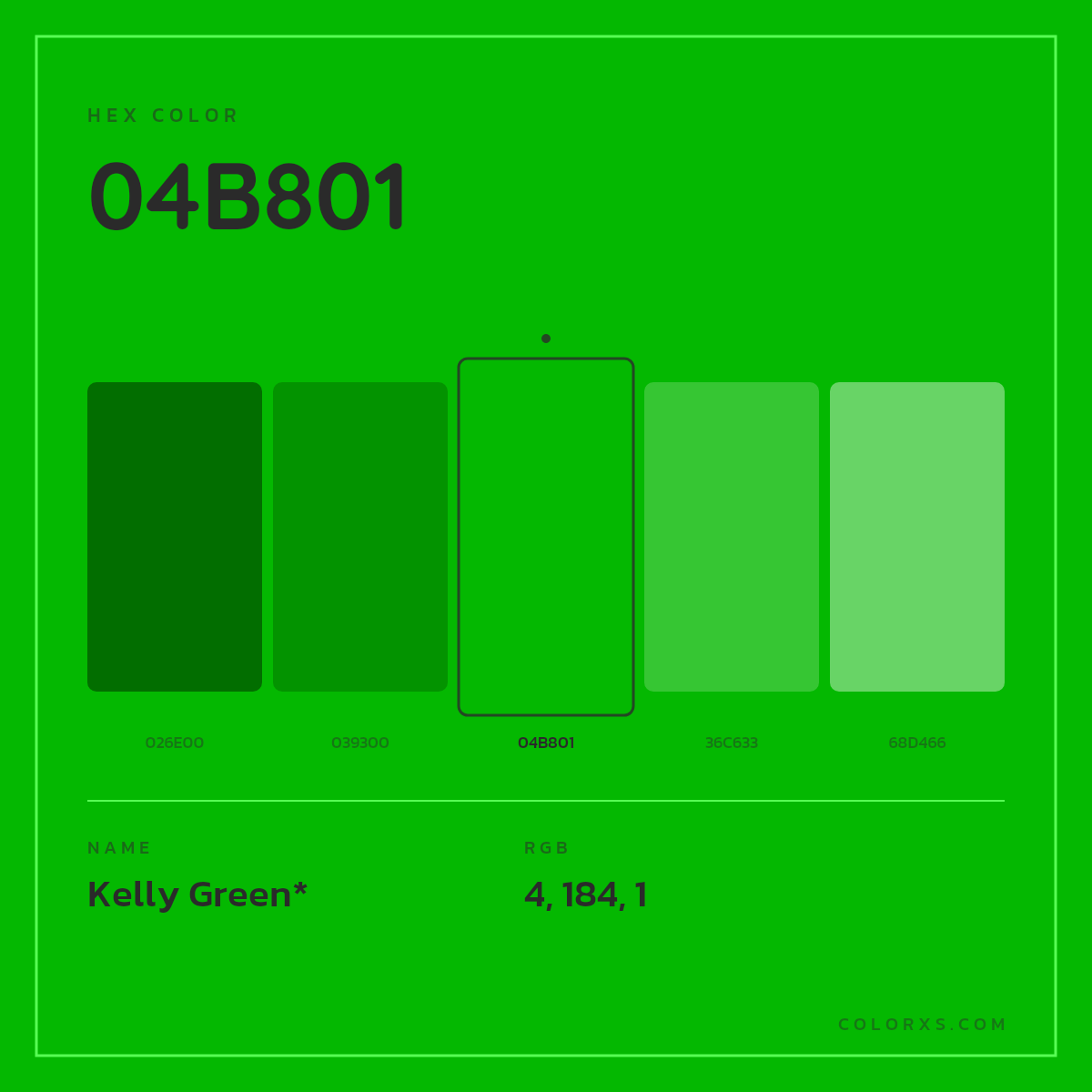 #04B801 hex color. RGB, RYB, CMYK, HSL, HSV codes and color conversions. Matching color names, palettes, paints.