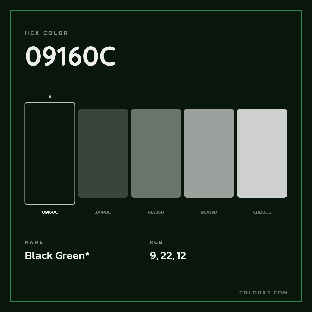 #09160C hex color. RGB, RYB, CMYK, HSL, HSV codes and color conversions. Matching color names, palettes, paints.