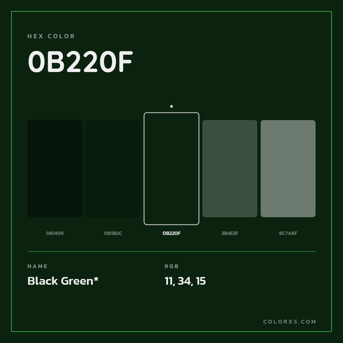 #0B220F hex color. RGB, RYB, CMYK, HSL, HSV codes and color conversions. Matching color names, palettes, paints.
