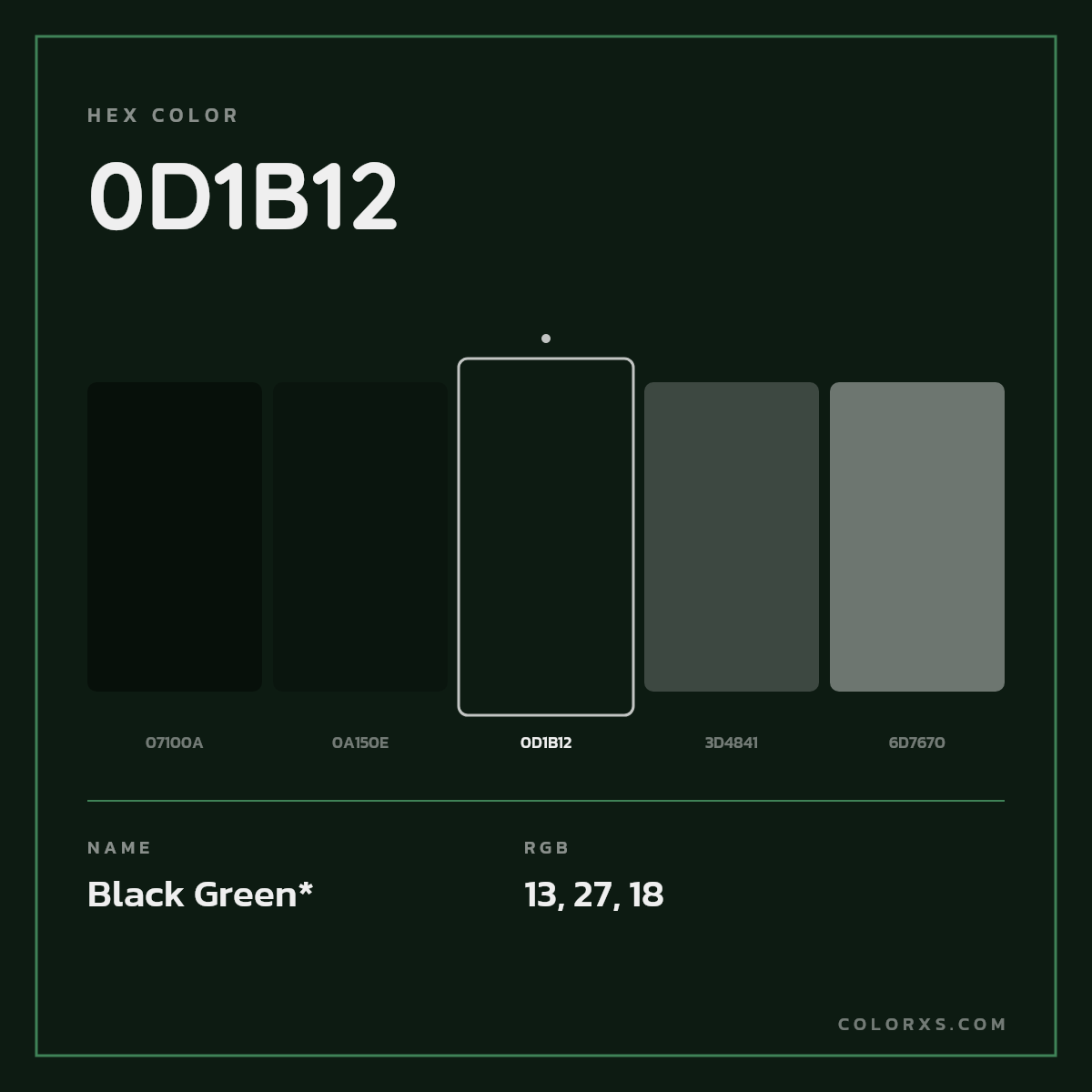 #0D1B12 hex color. RGB, RYB, CMYK, HSL, HSV codes and color conversions. Matching color names, palettes, paints.