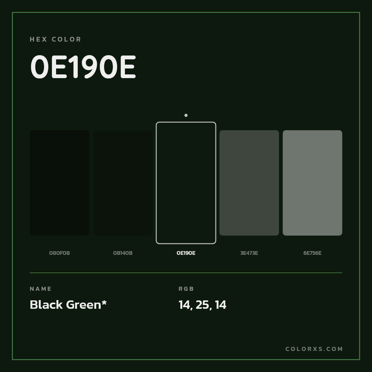 #0E190E hex color. RGB, RYB, CMYK, HSL, HSV codes and color conversions. Matching color names, palettes, paints.