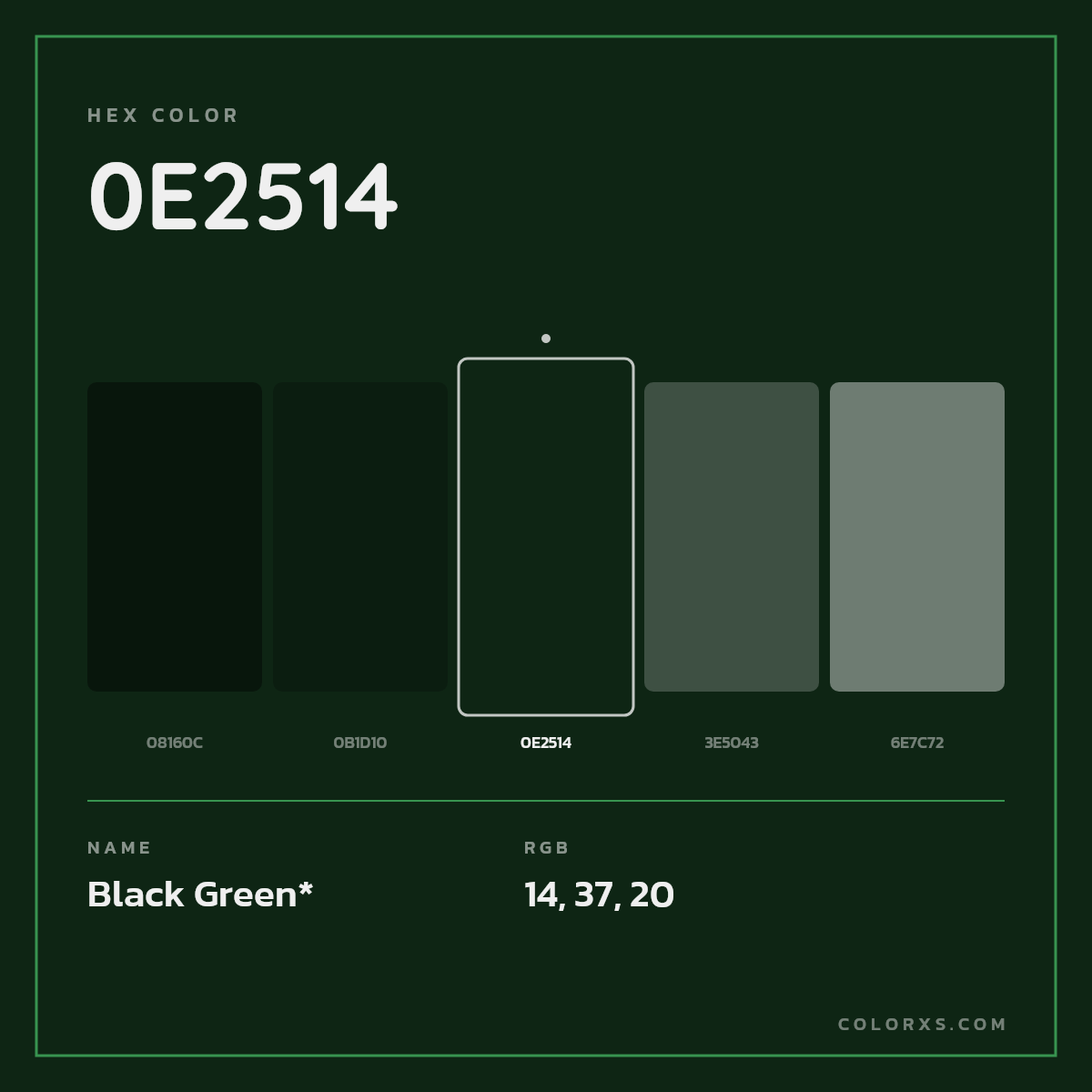 #0E2514 hex color. RGB, RYB, CMYK, HSL, HSV codes and color conversions. Matching color names, palettes, paints.