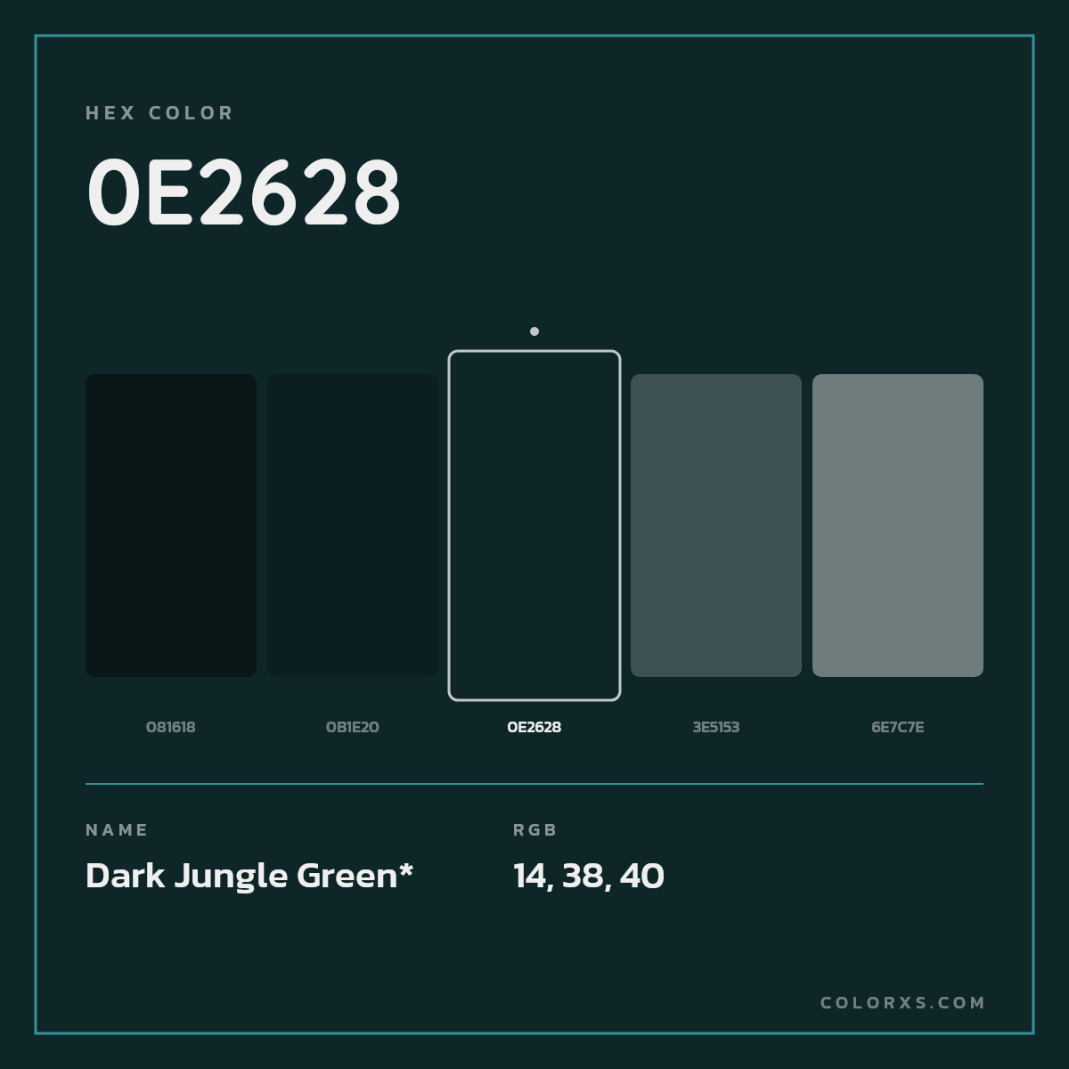 #0E2628 hex color. RGB, RYB, CMYK, HSL, HSV codes and color conversions. Matching color names, palettes, paints.