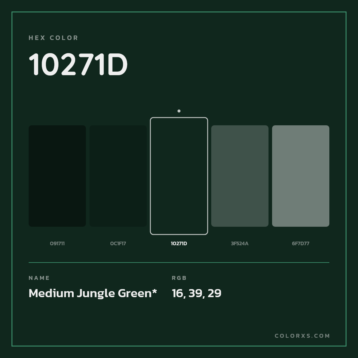#10271D hex color. RGB, RYB, CMYK, HSL, HSV codes and color conversions. Matching color names, palettes, paints.