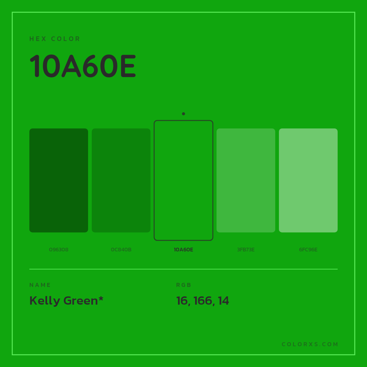 #10A60E hex color. RGB, RYB, CMYK, HSL, HSV codes and color conversions. Matching color names, palettes, paints.