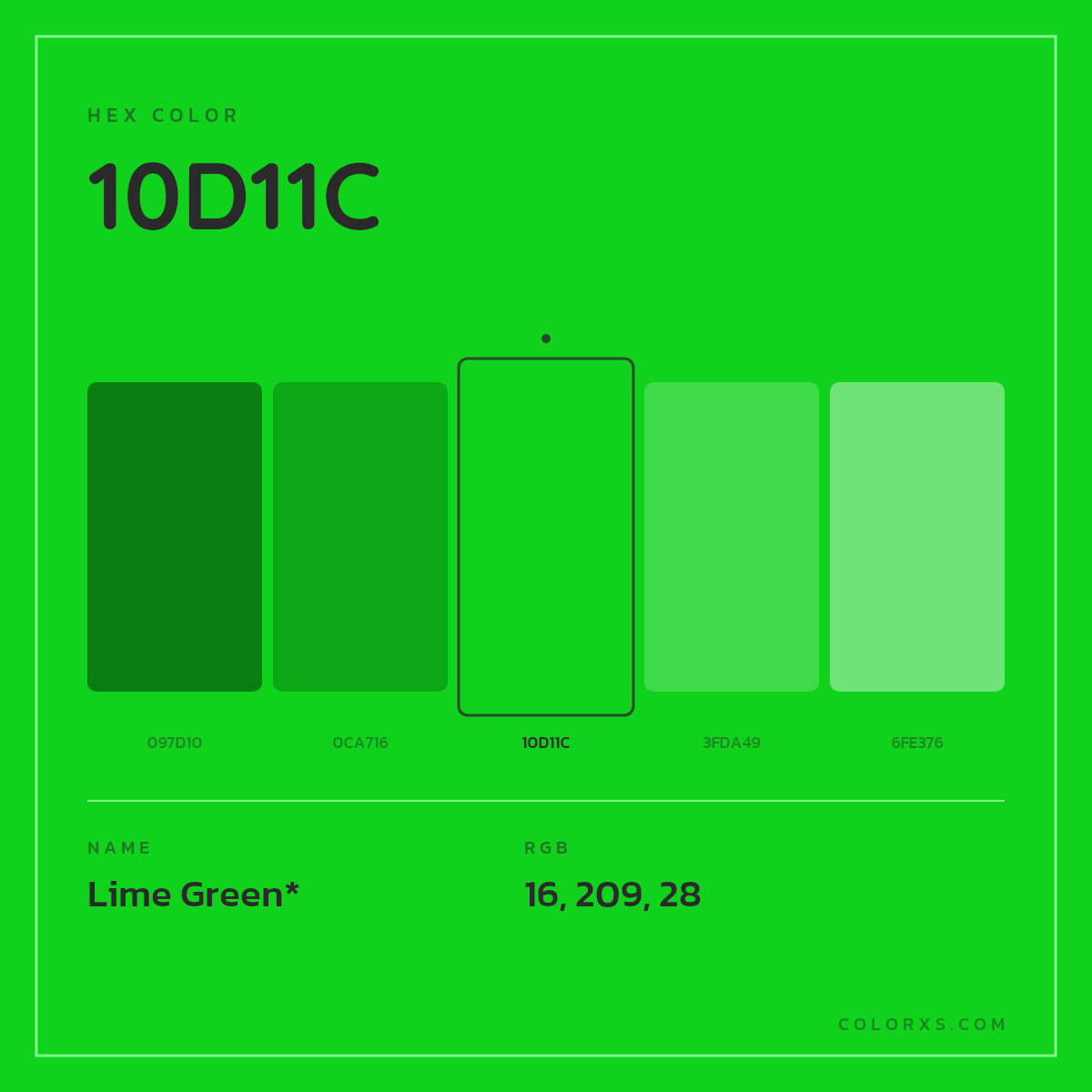 #10D11C hex color. RGB, RYB, CMYK, HSL, HSV codes and color conversions. Matching color names, palettes, paints.