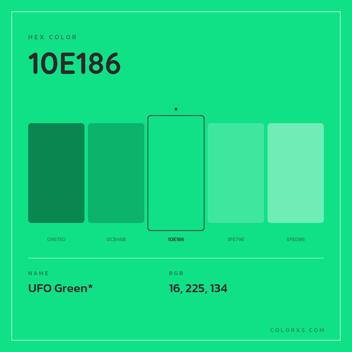 #10E186 hex color. RGB, RYB, CMYK, HSL, HSV codes and color conversions. Matching color names, palettes, paints.