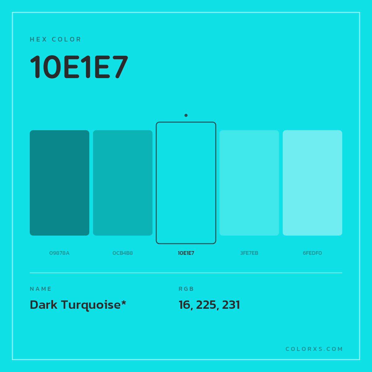 #10E1E7 hex color. RGB, RYB, CMYK, HSL, HSV codes and color conversions. Matching color names, palettes, paints.