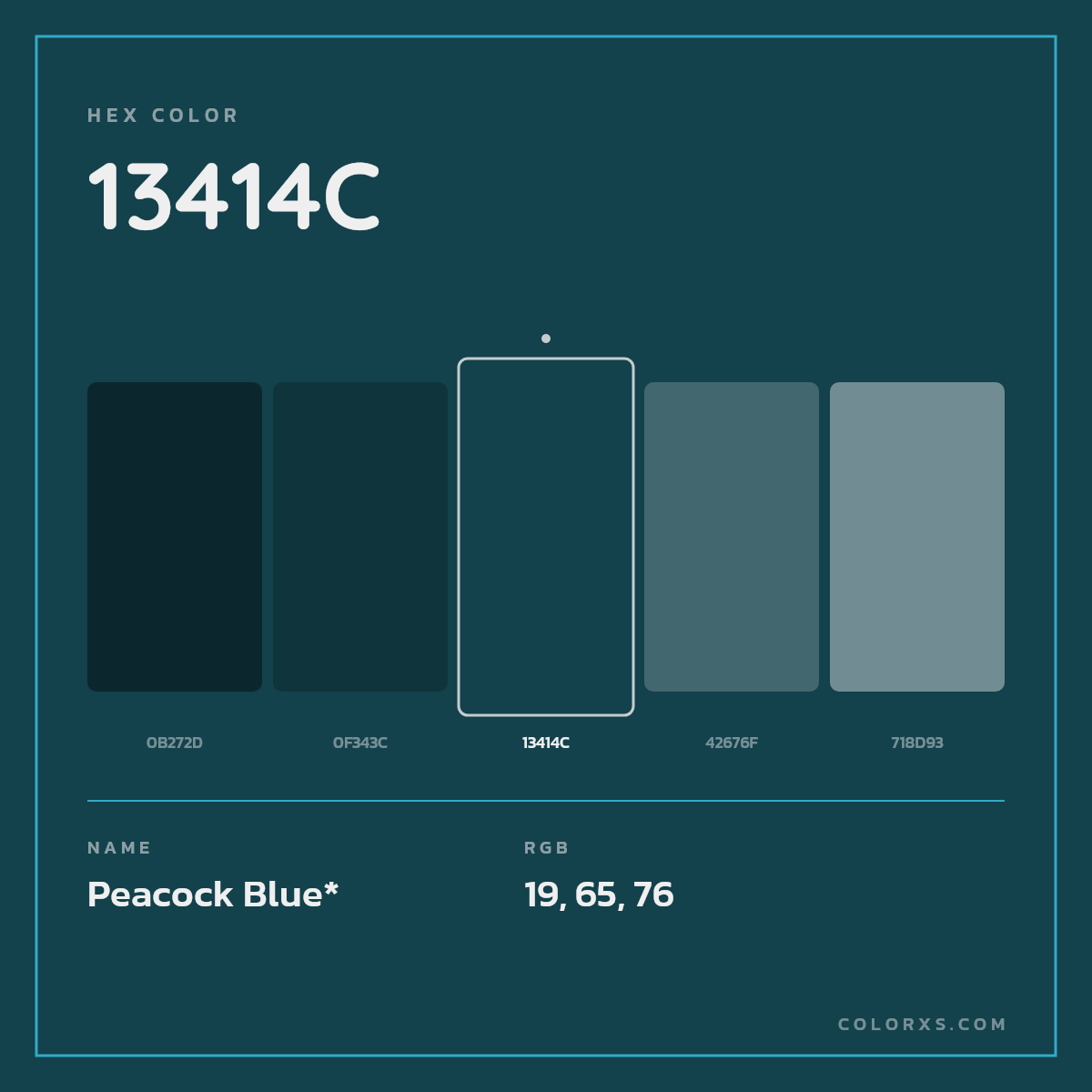 #13414C hex color. RGB, RYB, CMYK, HSL, HSV codes and color conversions. Matching color names, palettes, paints.