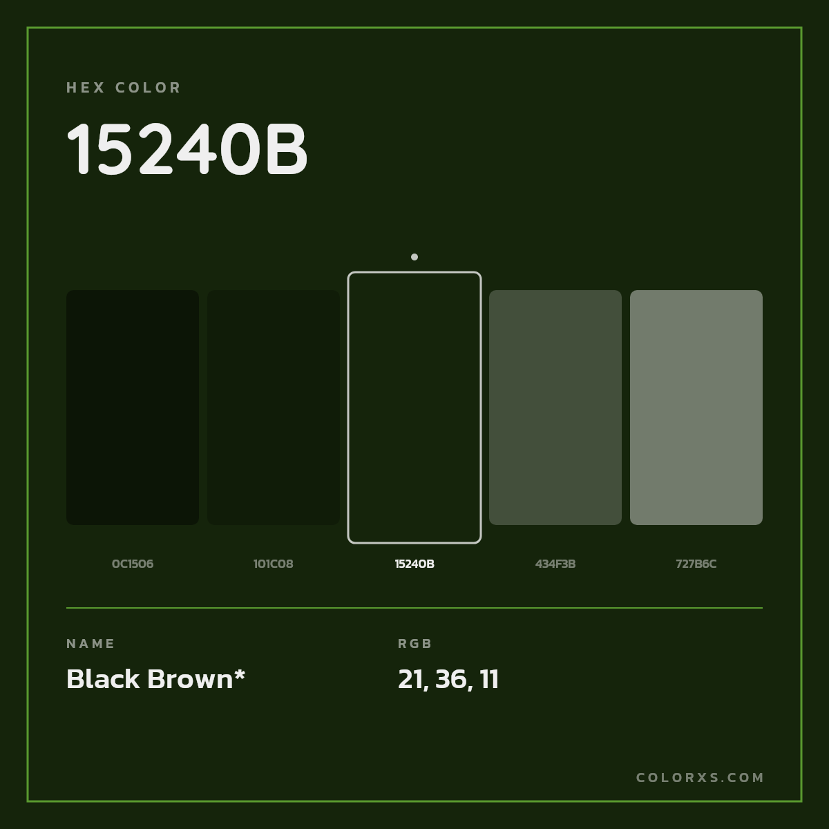 #15240B hex color. RGB, RYB, CMYK, HSL, HSV codes and color conversions. Matching color names, palettes, paints.