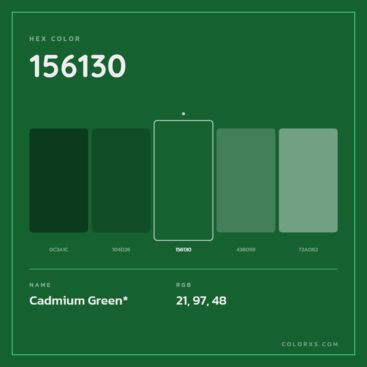 #156130 hex color. RGB, RYB, CMYK, HSL, HSV codes and color conversions. Matching color names, palettes, paints.