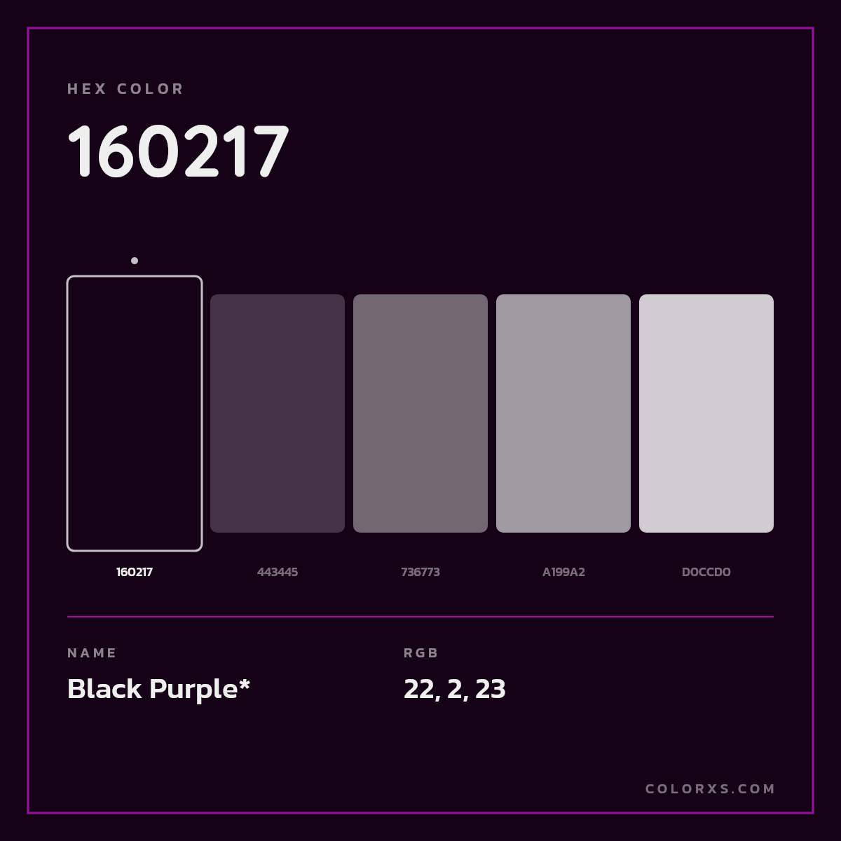 #160217 hex color. RGB, RYB, CMYK, HSL, HSV codes and color conversions. Matching color names, palettes, paints.