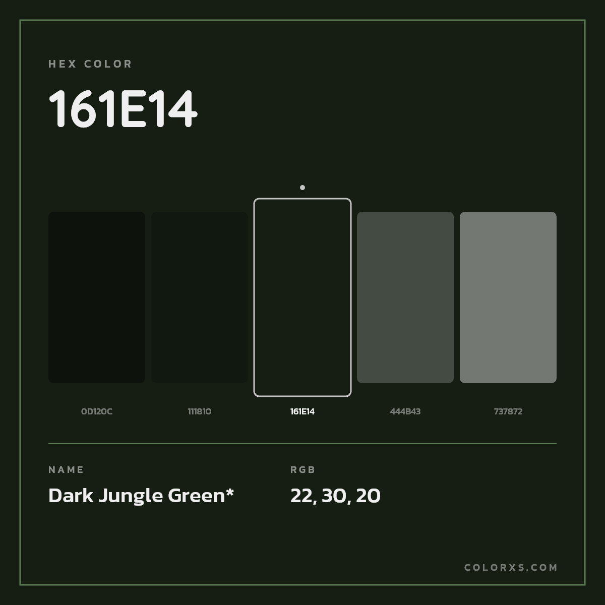 #161E14 hex color. RGB, RYB, CMYK, HSL, HSV codes and color conversions. Matching color names, palettes, paints.
