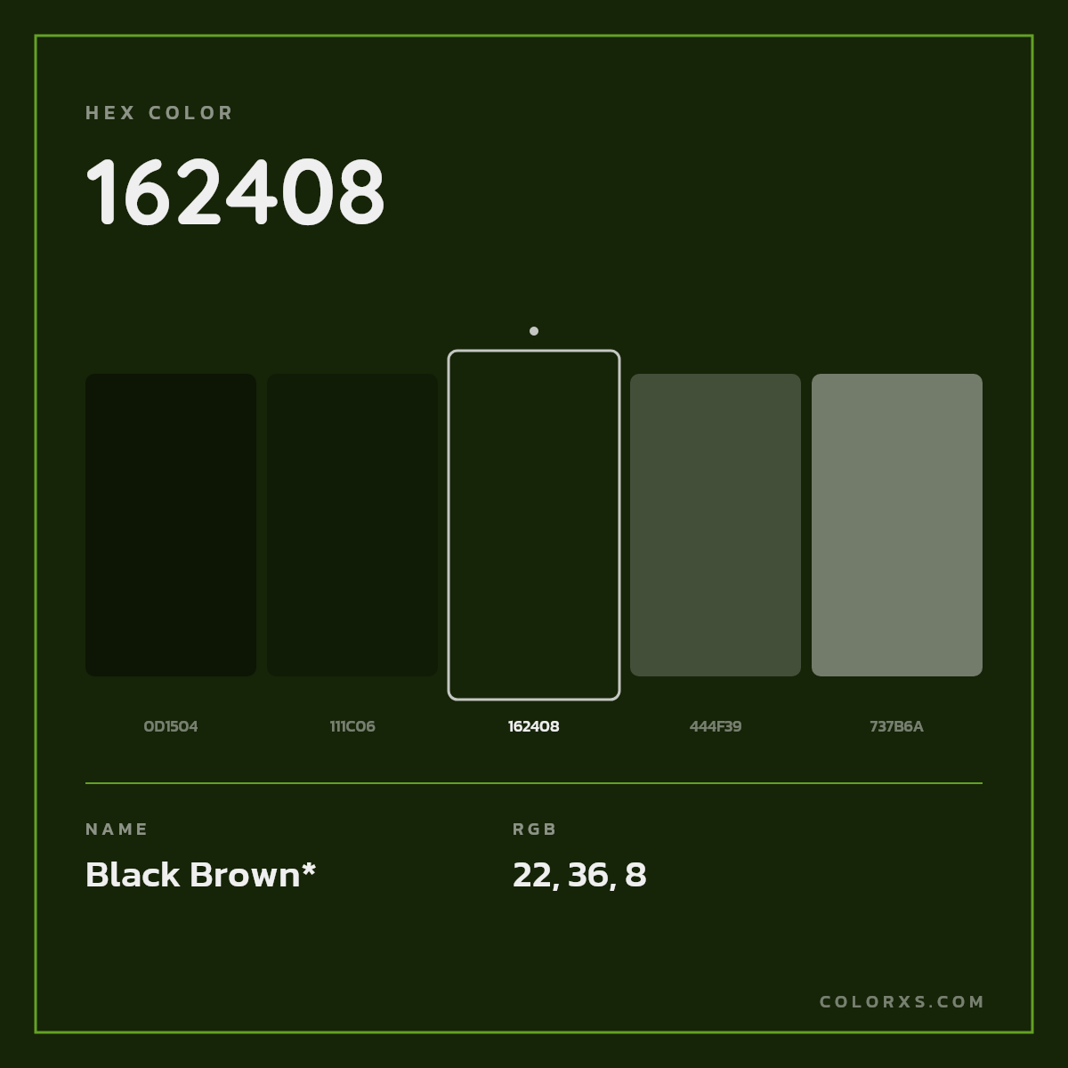 #162408 hex color. RGB, RYB, CMYK, HSL, HSV codes and color conversions. Matching color names, palettes, paints.