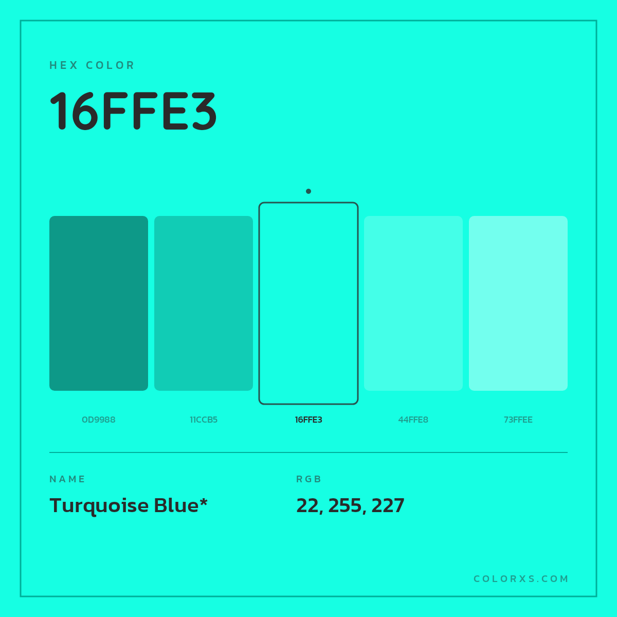 #16FFE3 hex color. RGB, RYB, CMYK, HSL, HSV codes and color conversions. Matching color names, palettes, paints.
