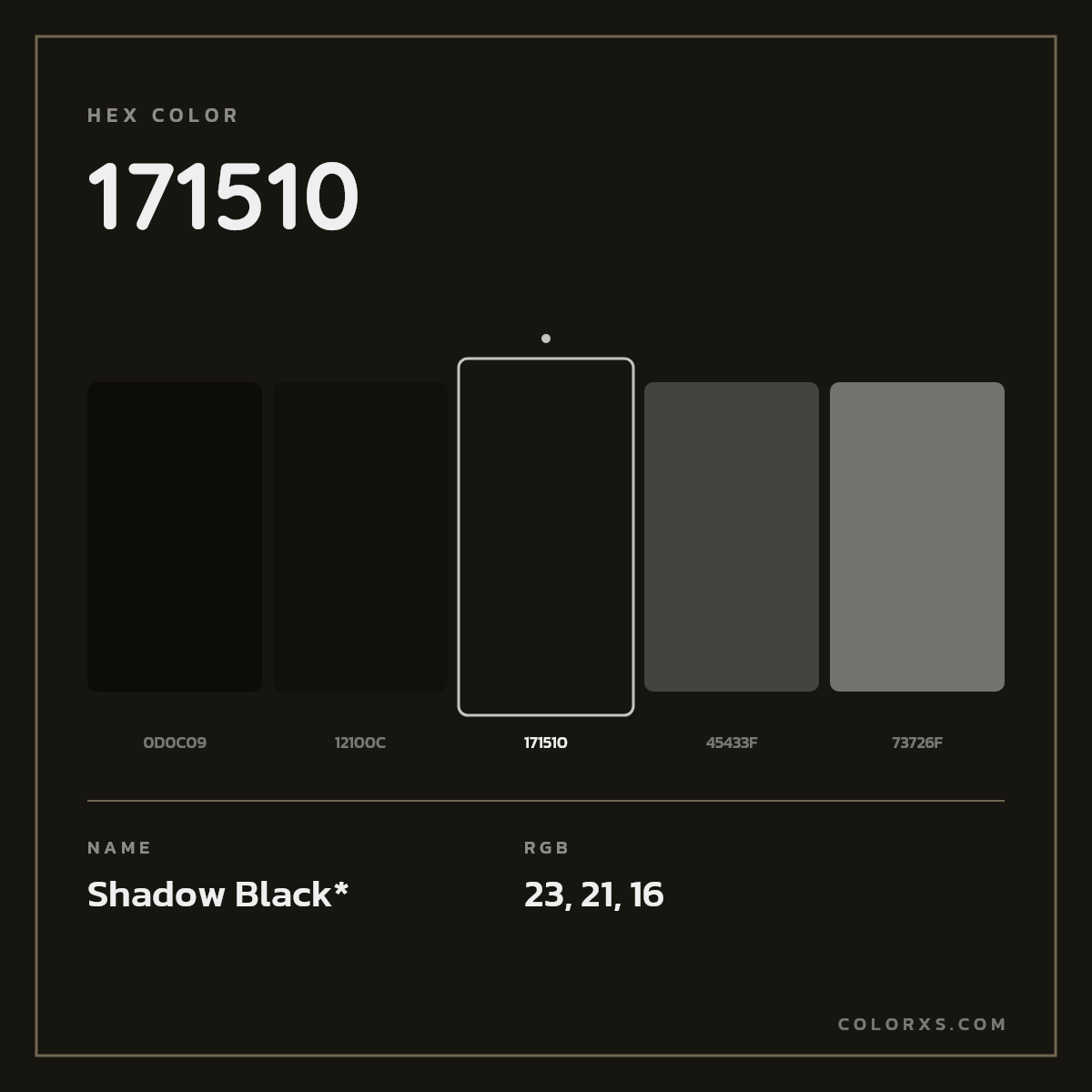 #171510 hex color. RGB, RYB, CMYK, HSL, HSV codes and color conversions. Matching color names, palettes, paints.