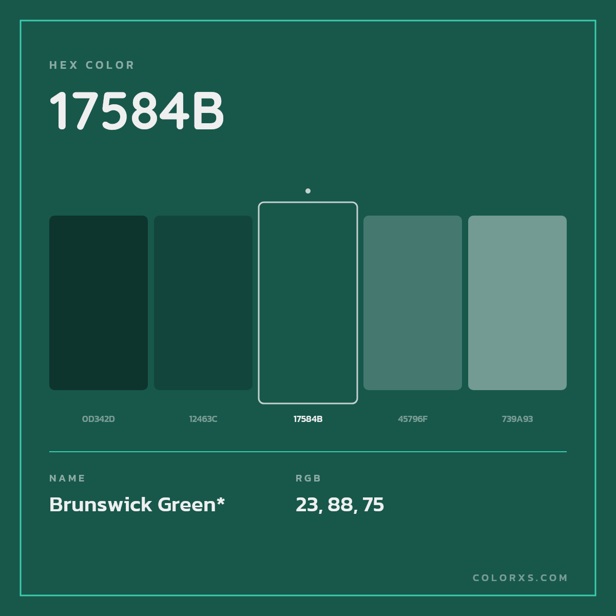 #17584B hex color. RGB, RYB, CMYK, HSL, HSV codes and color conversions. Matching color names, palettes, paints.