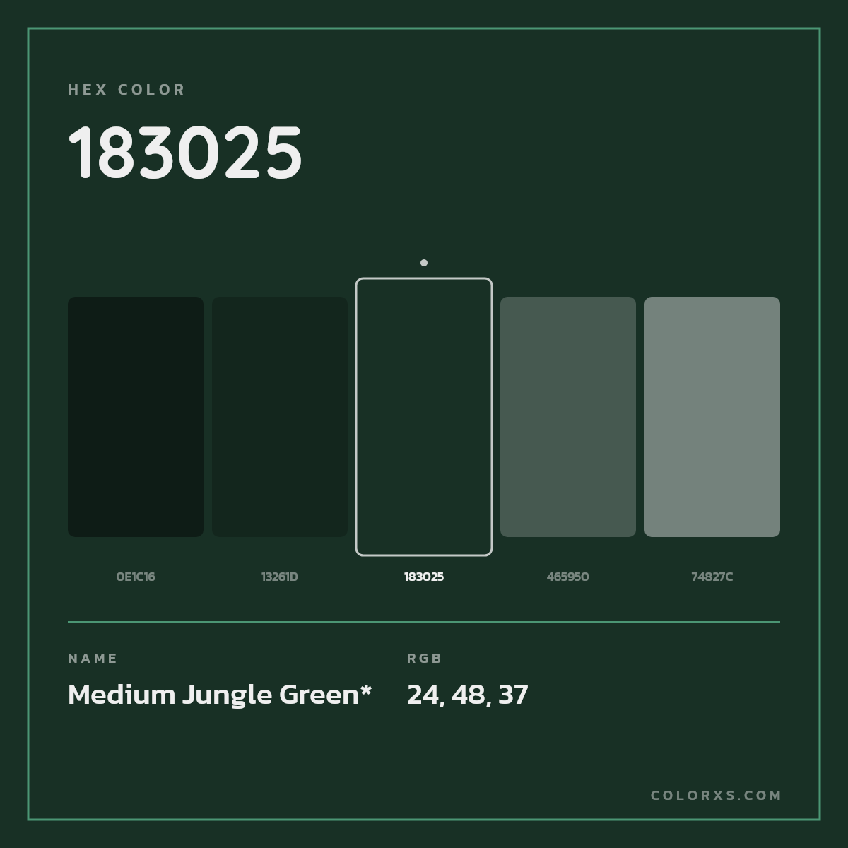 #183025 hex color. RGB, RYB, CMYK, HSL, HSV codes and color conversions. Matching color names, palettes, paints.