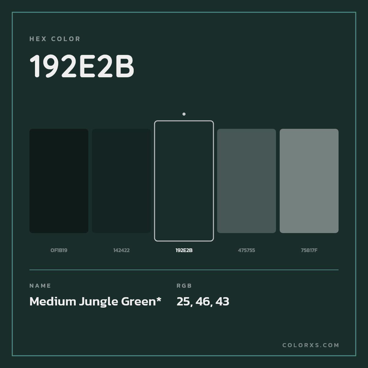 #192E2B hex color. RGB, RYB, CMYK, HSL, HSV codes and color conversions. Matching color names, palettes, paints.