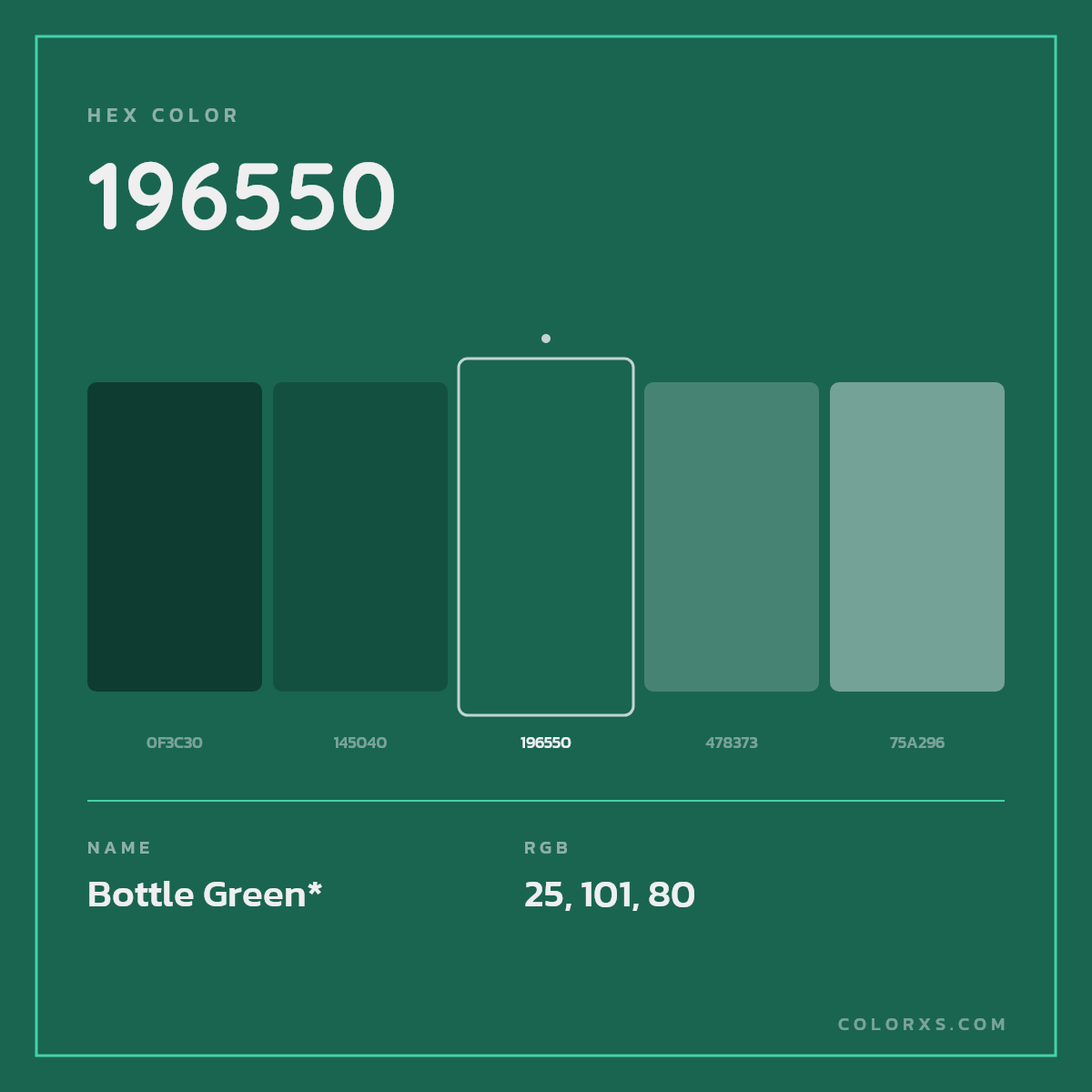 #196550 hex color. RGB, RYB, CMYK, HSL, HSV codes and color conversions. Matching color names, palettes, paints.