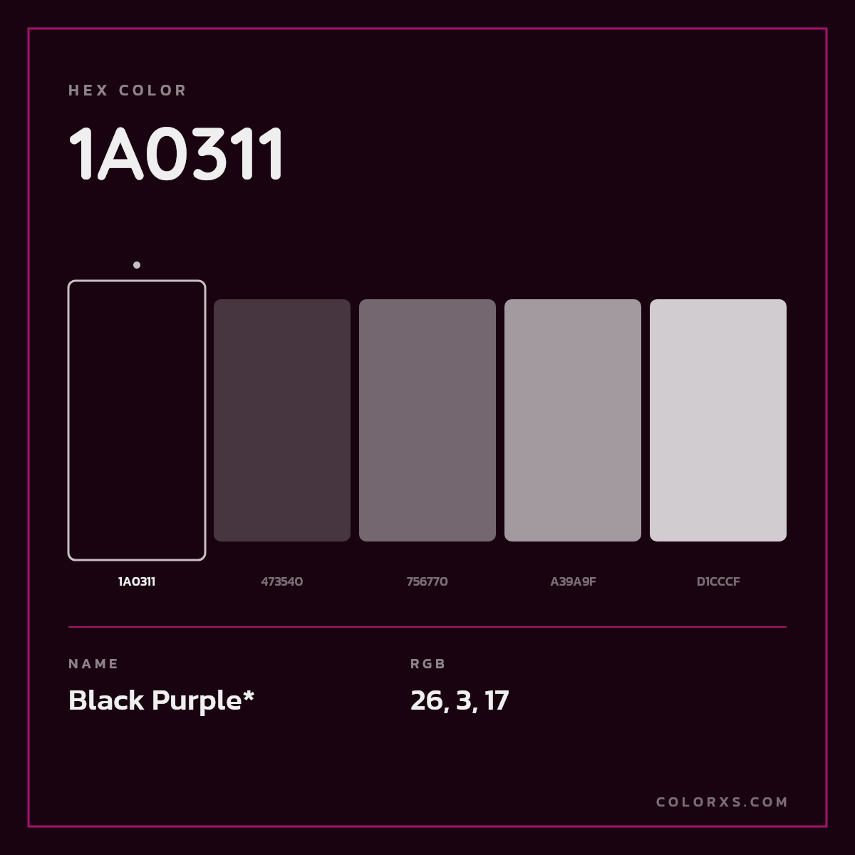 #1A0311 hex color. RGB, RYB, CMYK, HSL, HSV codes and color conversions. Matching color names, palettes, paints.