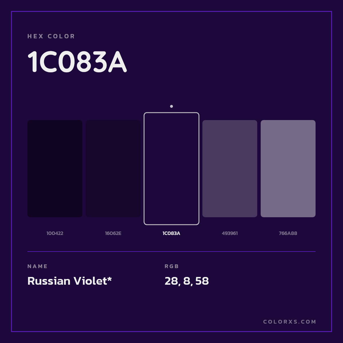 #1C083A hex color. RGB, RYB, CMYK, HSL, HSV codes and color conversions. Matching color names, palettes, paints.