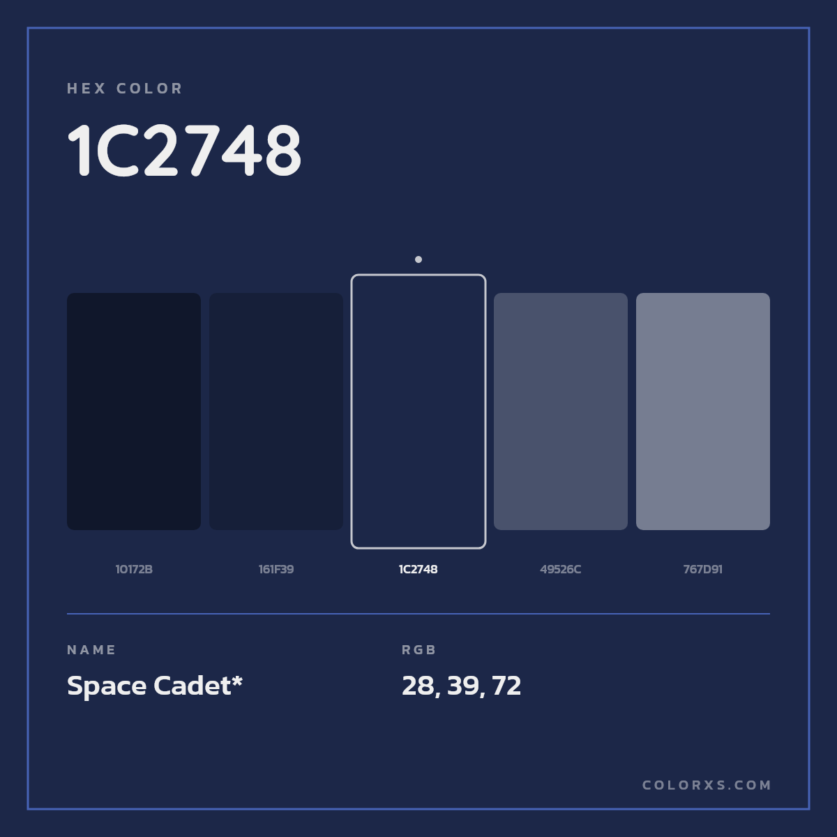 #1C2748 hex color. RGB, RYB, CMYK, HSL, HSV codes and color conversions. Matching color names, palettes, paints.