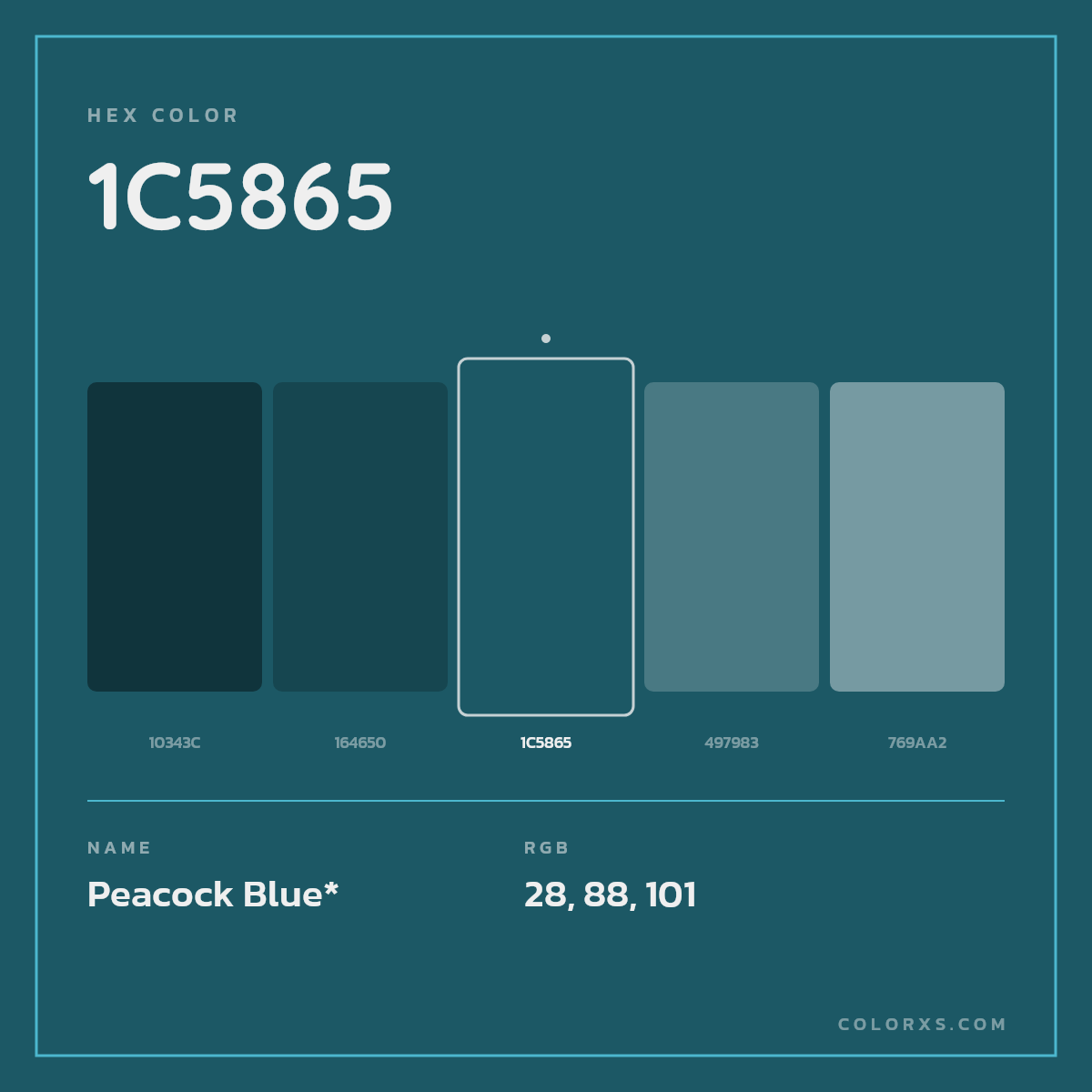 #1C5865 hex color. RGB, RYB, CMYK, HSL, HSV codes and color conversions. Matching color names, palettes, paints.