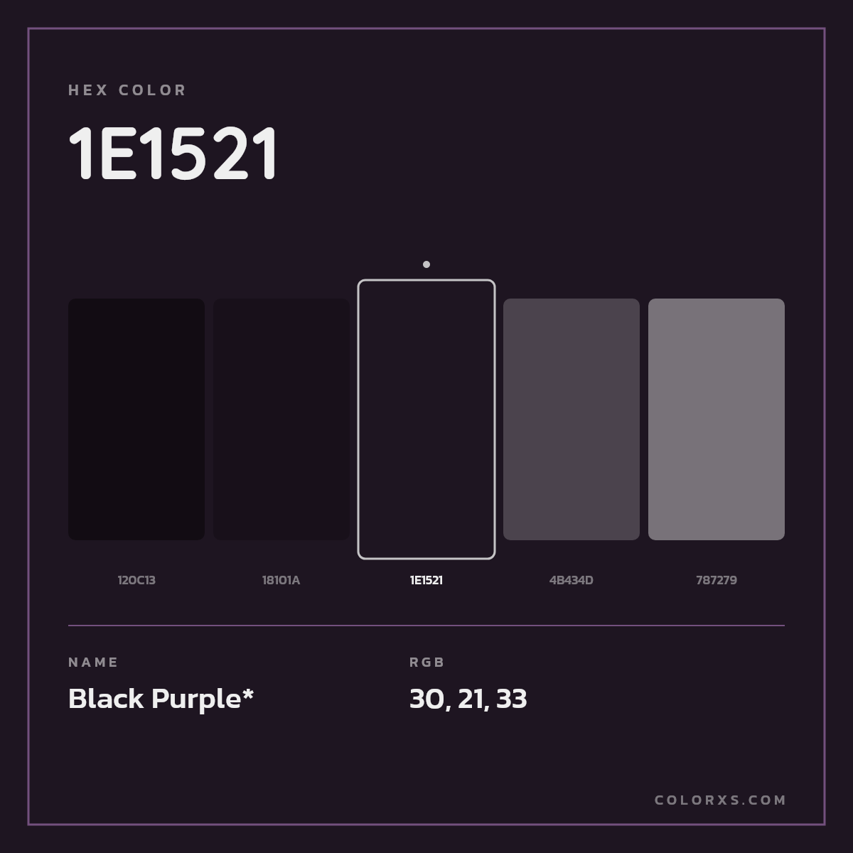 #1E1521 hex color. RGB, RYB, CMYK, HSL, HSV codes and color conversions. Matching color names, palettes, paints.