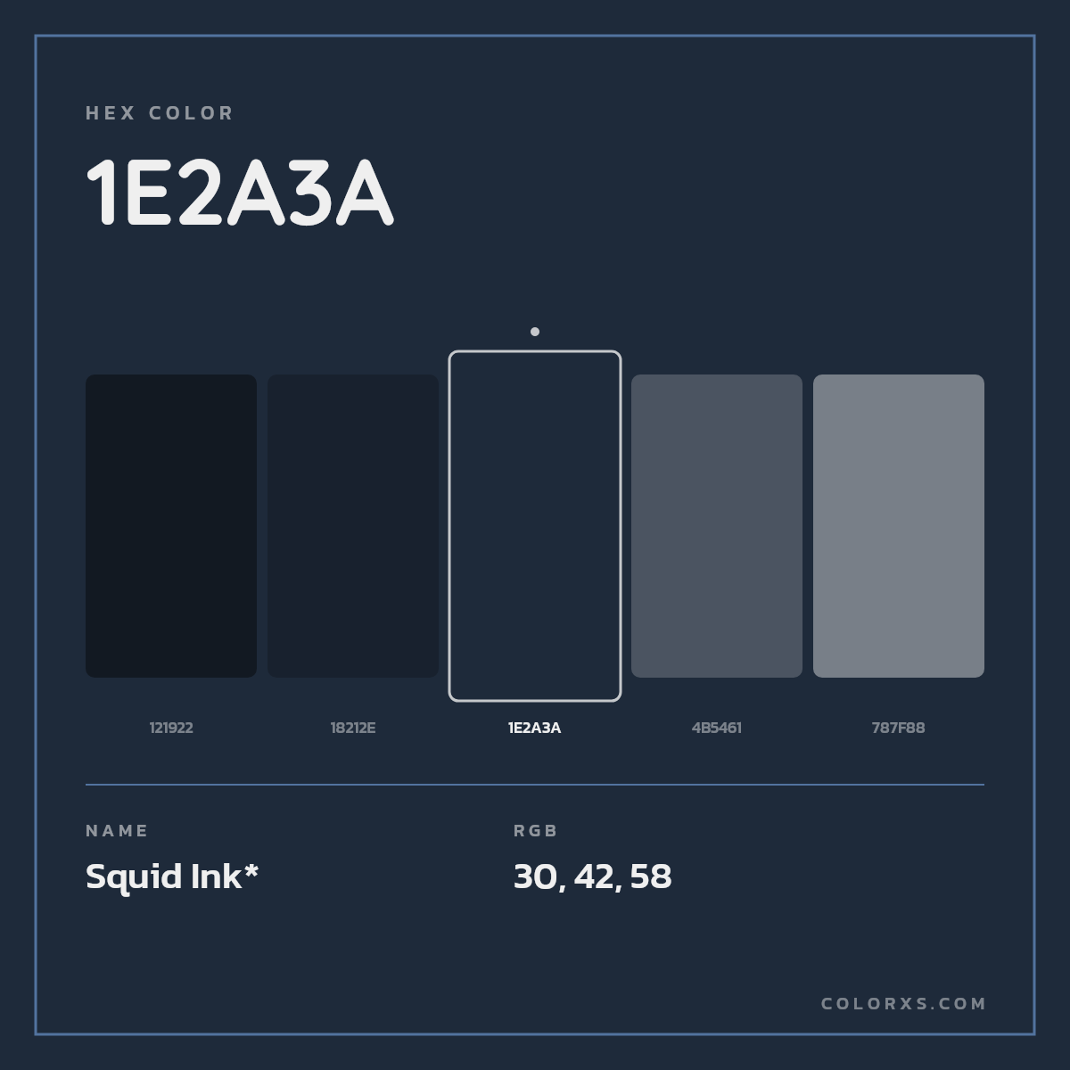 #1E2A3A hex color. RGB, RYB, CMYK, HSL, HSV codes and color conversions. Matching color names, palettes, paints.