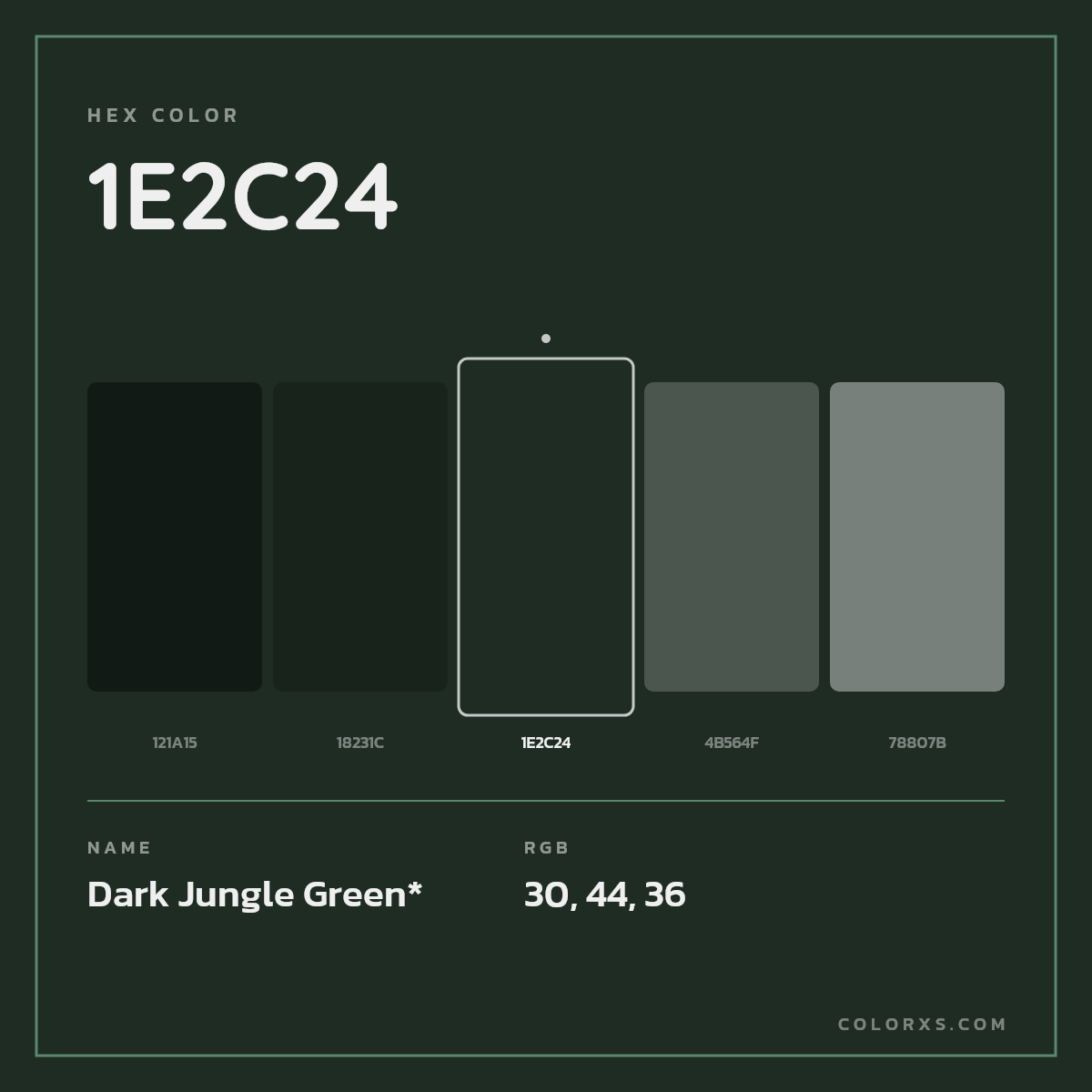 #1E2C24 hex color. RGB, RYB, CMYK, HSL, HSV codes and color conversions. Matching color names, palettes, paints.