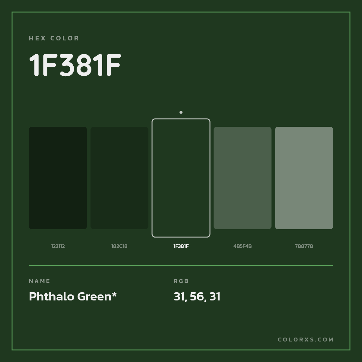 #1F381F hex color. RGB, RYB, CMYK, HSL, HSV codes and color conversions. Matching color names, palettes, paints.