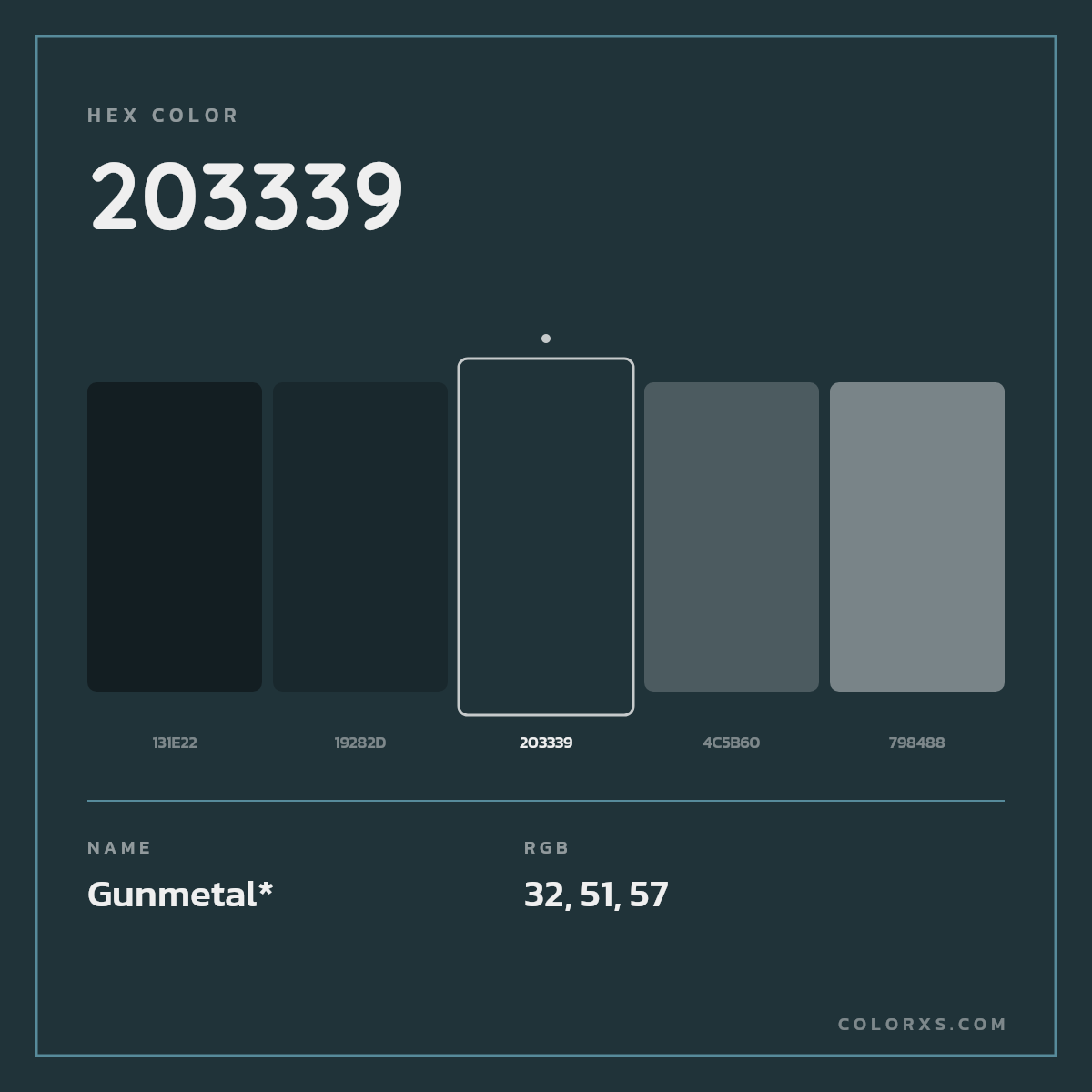 #203339 hex color. RGB, RYB, CMYK, HSL, HSV codes and color conversions. Matching color names, palettes, paints.