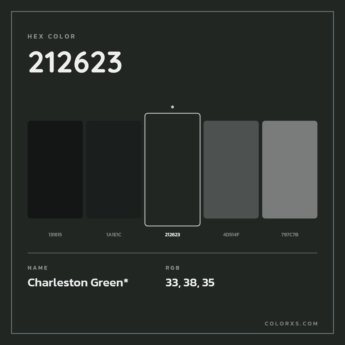 #212623 hex color. RGB, RYB, CMYK, HSL, HSV codes and color conversions. Matching color names, palettes, paints.