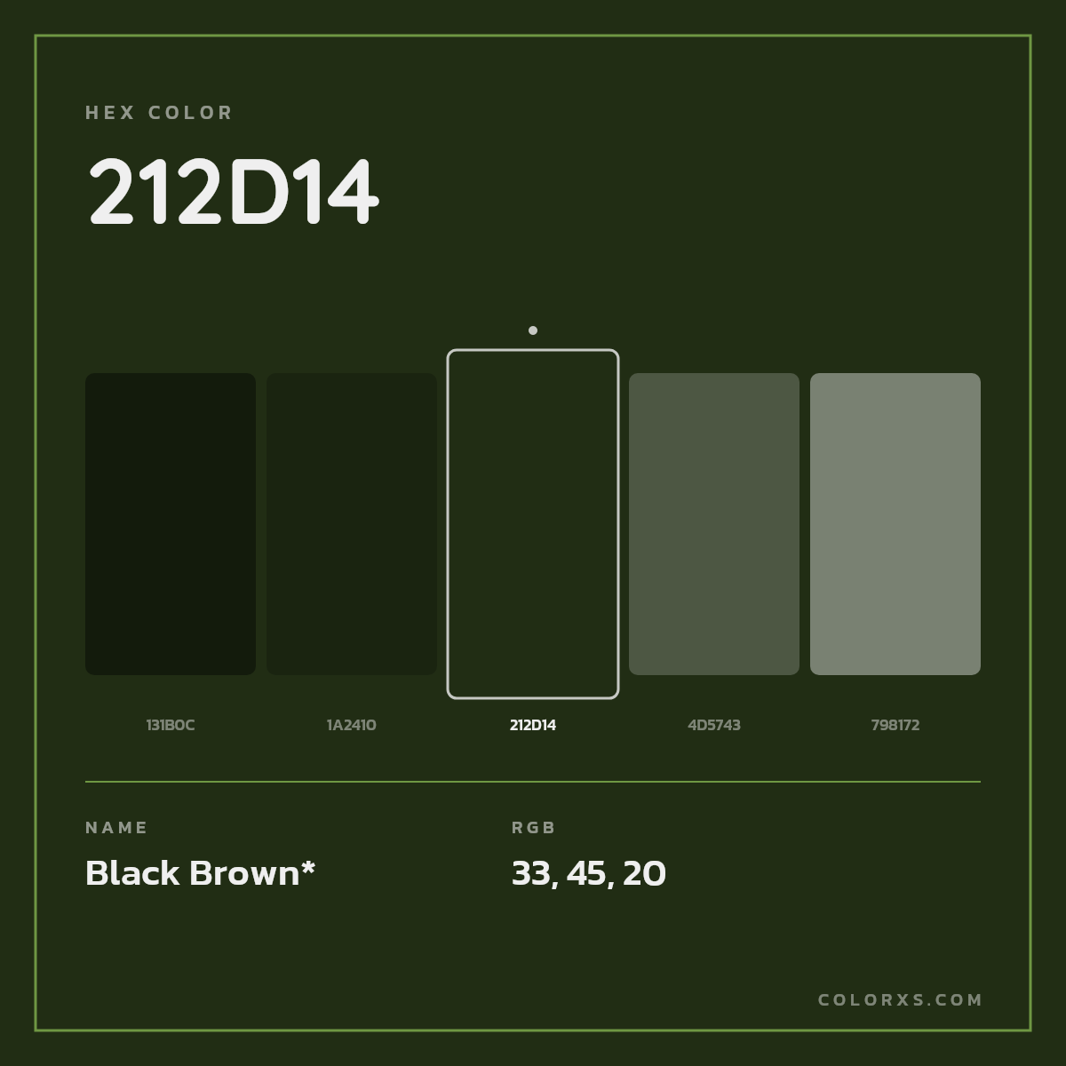 #212D14 hex color. RGB, RYB, CMYK, HSL, HSV codes and color conversions. Matching color names, palettes, paints.