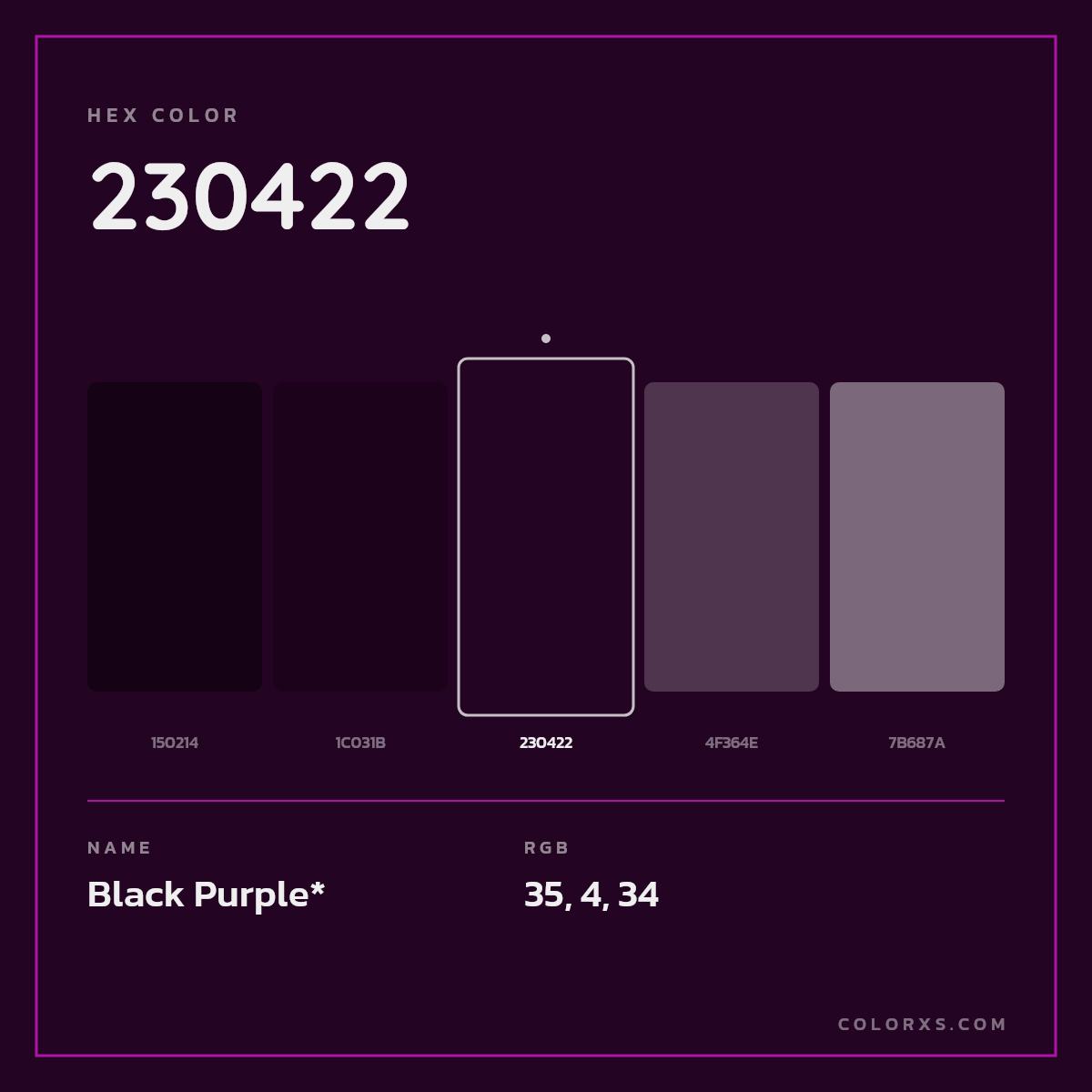 #230422 hex color. RGB, RYB, CMYK, HSL, HSV codes and color conversions. Matching color names, palettes, paints.