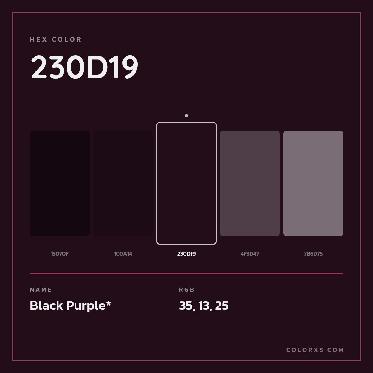 #230D19 hex color. RGB, RYB, CMYK, HSL, HSV codes and color conversions. Matching color names, palettes, paints.