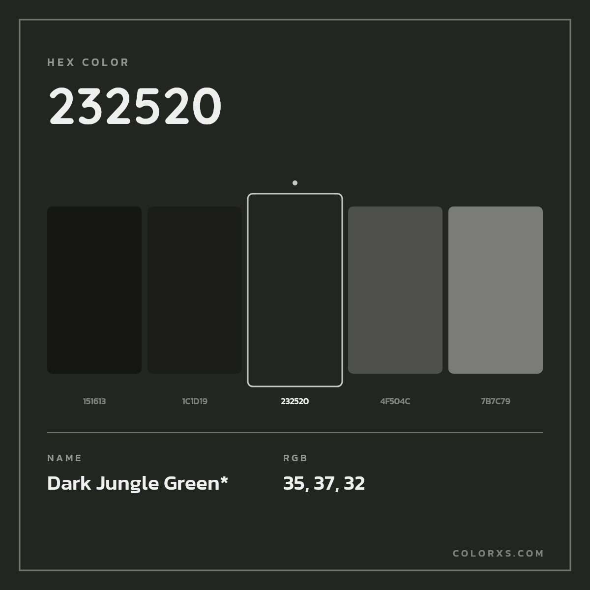 #232520 hex color. RGB, RYB, CMYK, HSL, HSV codes and color conversions. Matching color names, palettes, paints.