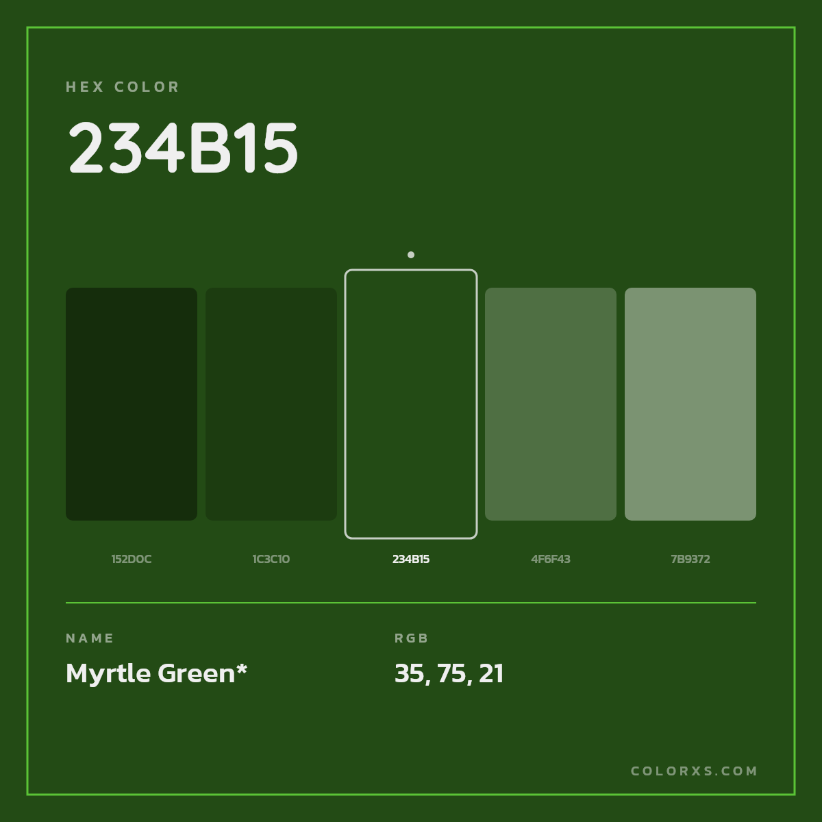 #234B15 hex color. RGB, RYB, CMYK, HSL, HSV codes and color conversions. Matching color names, palettes, paints.