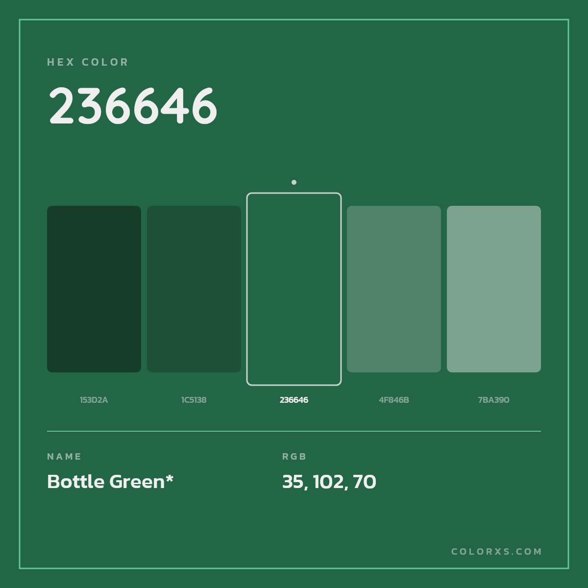 #236646 hex color. RGB, RYB, CMYK, HSL, HSV codes and color conversions. Matching color names, palettes, paints.