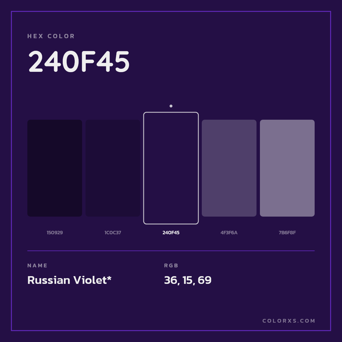 #240F45 hex color. RGB, RYB, CMYK, HSL, HSV codes and color conversions. Matching color names, palettes, paints.