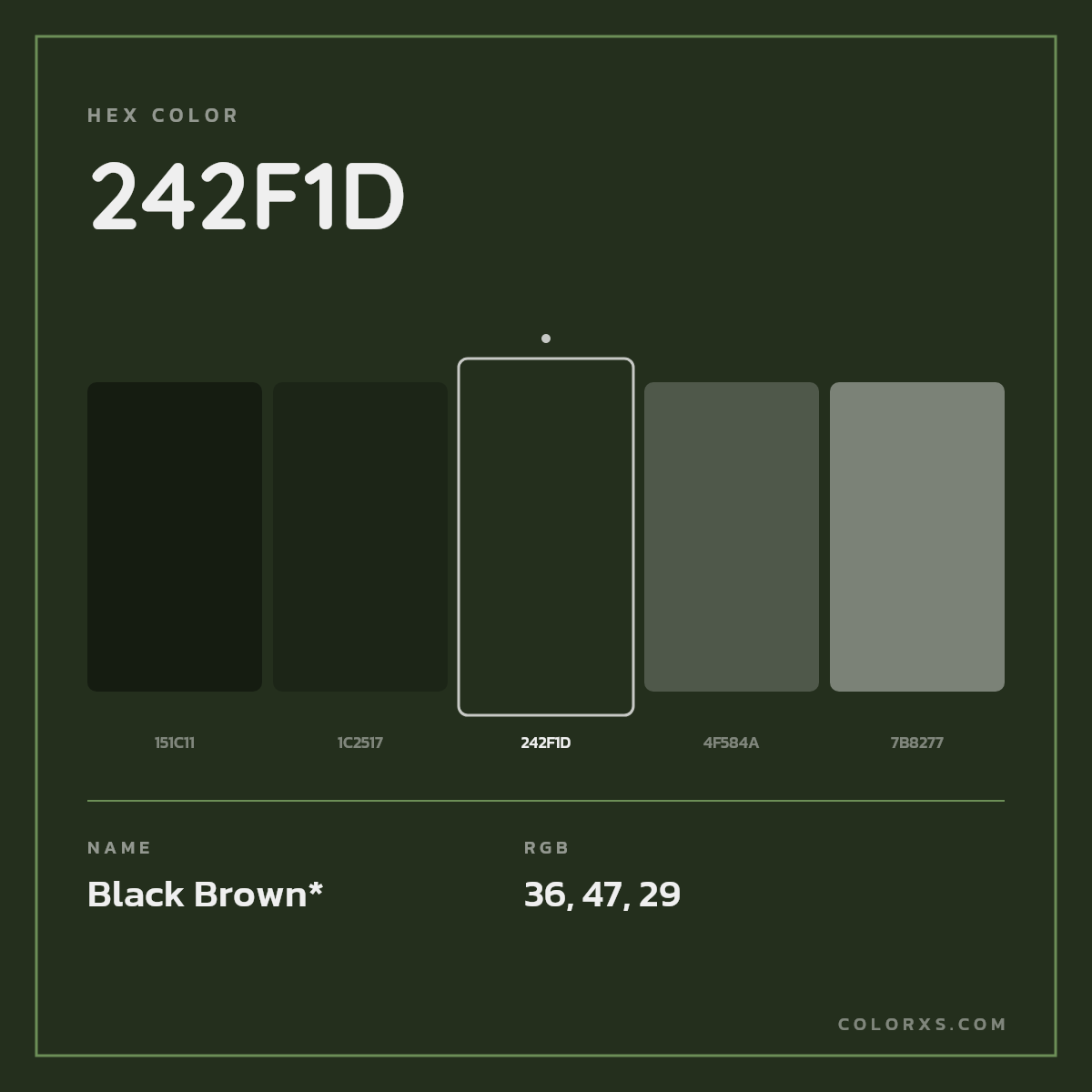 #242F1D hex color. RGB, RYB, CMYK, HSL, HSV codes and color conversions. Matching color names, palettes, paints.