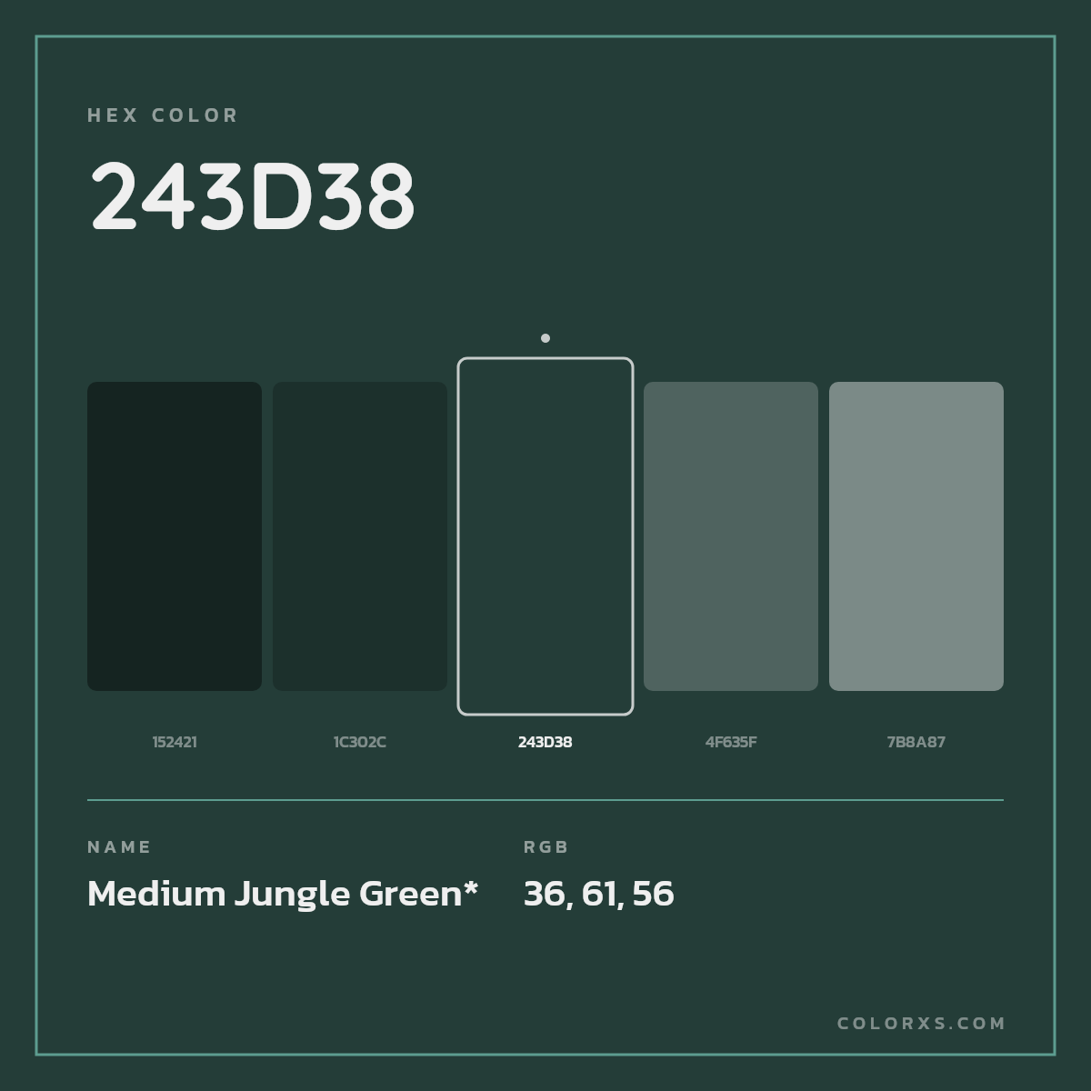 #243D38 hex color. RGB, RYB, CMYK, HSL, HSV codes and color conversions. Matching color names, palettes, paints.