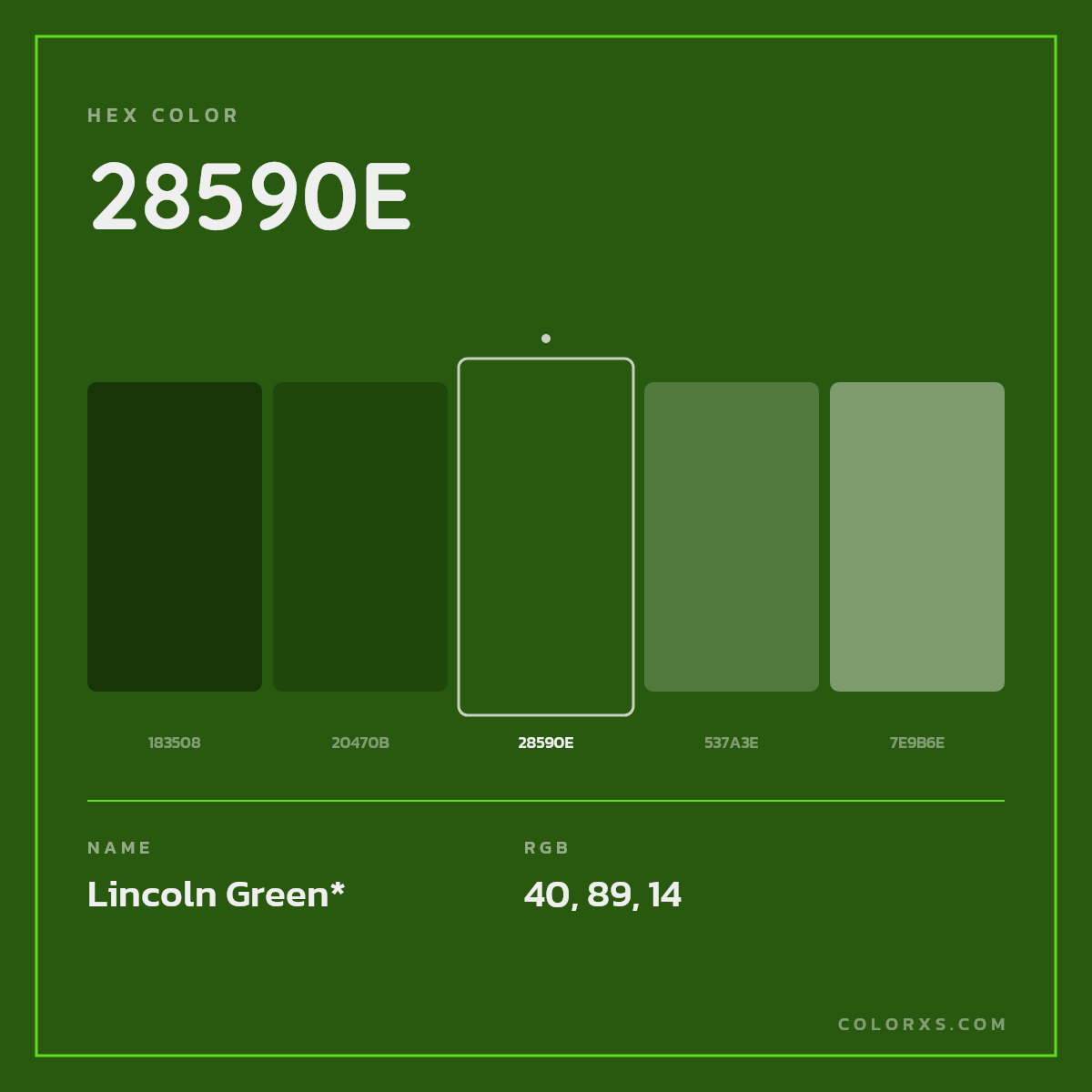#28590E hex color. RGB, RYB, CMYK, HSL, HSV codes and color conversions. Matching color names, palettes, paints.